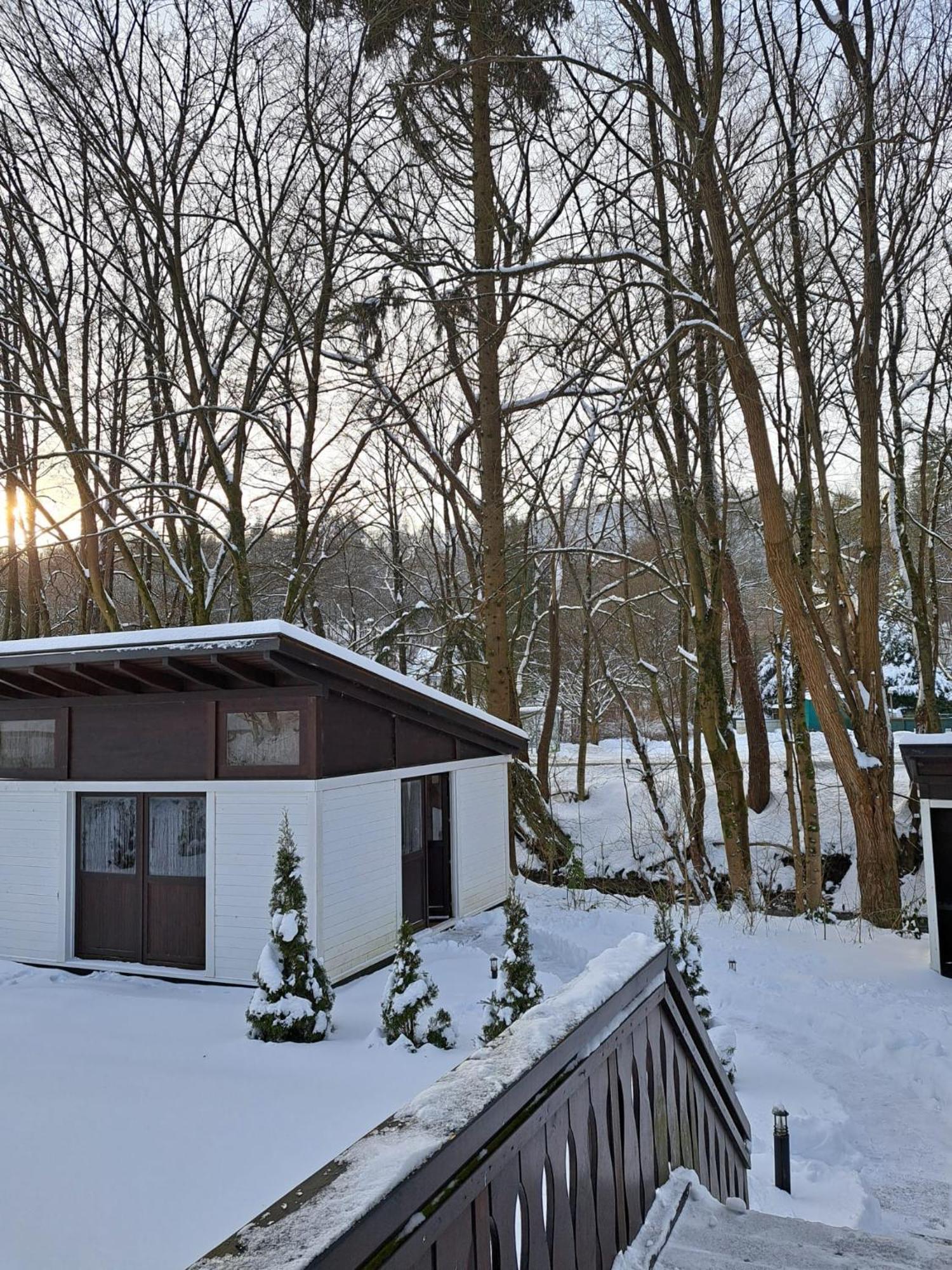 Ferienhaus Gretel In Zorge エクステリア 写真